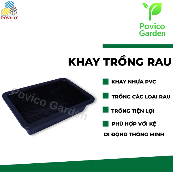 Khay trồng rau 63x40x15cm