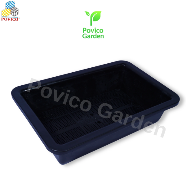 Khay trồng rau 63x40x15cm